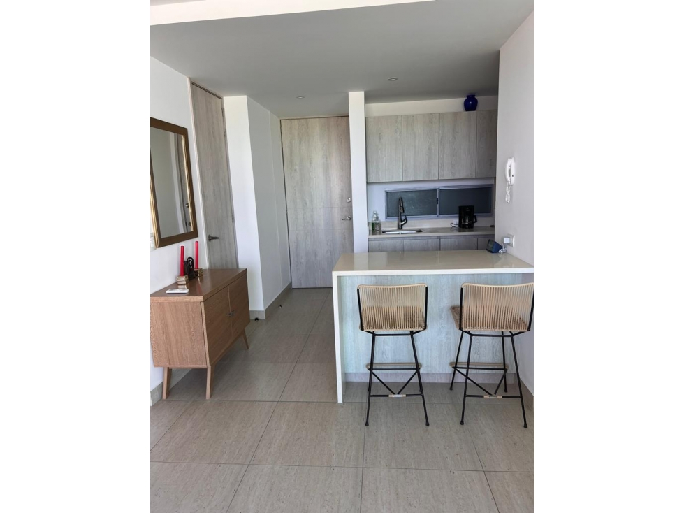 APARTAMENTO EN VENTA Edificio CENTRAL GARDEN — foto 4