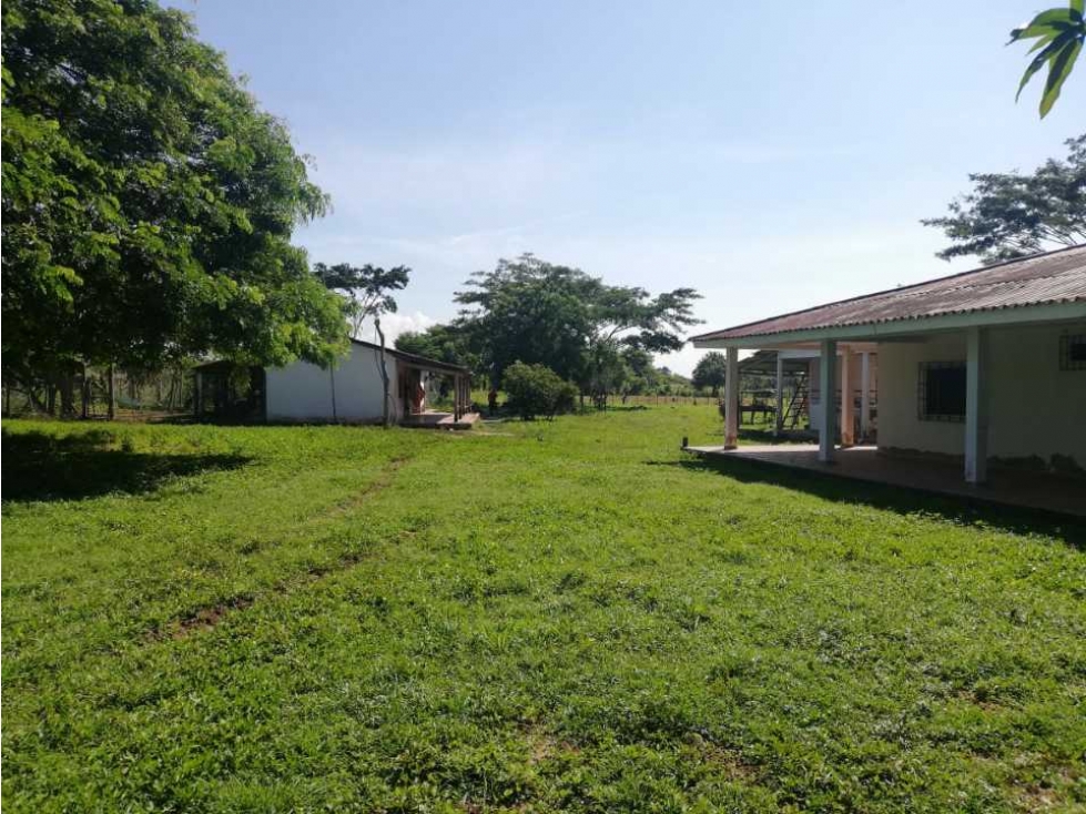 VENTA DE FINCA GANADERA EN PIOJO - ATLANTICO - 2