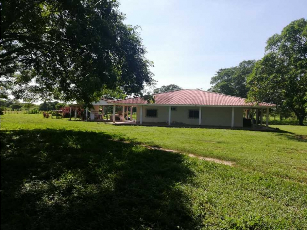 VENTA DE FINCA GANADERA EN PIOJO - ATLANTICO - 3