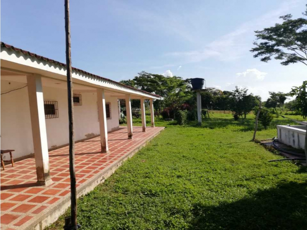 VENTA DE FINCA GANADERA EN PIOJO - ATLANTICO - 4
