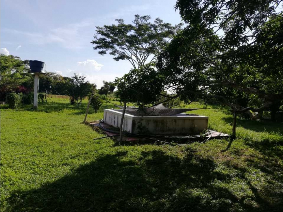 VENTA DE FINCA GANADERA EN PIOJO - ATLANTICO - 5