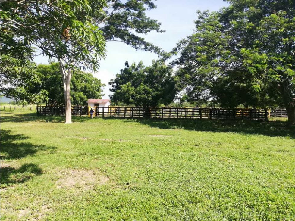 VENTA DE FINCA GANADERA EN PIOJO - ATLANTICO - 6