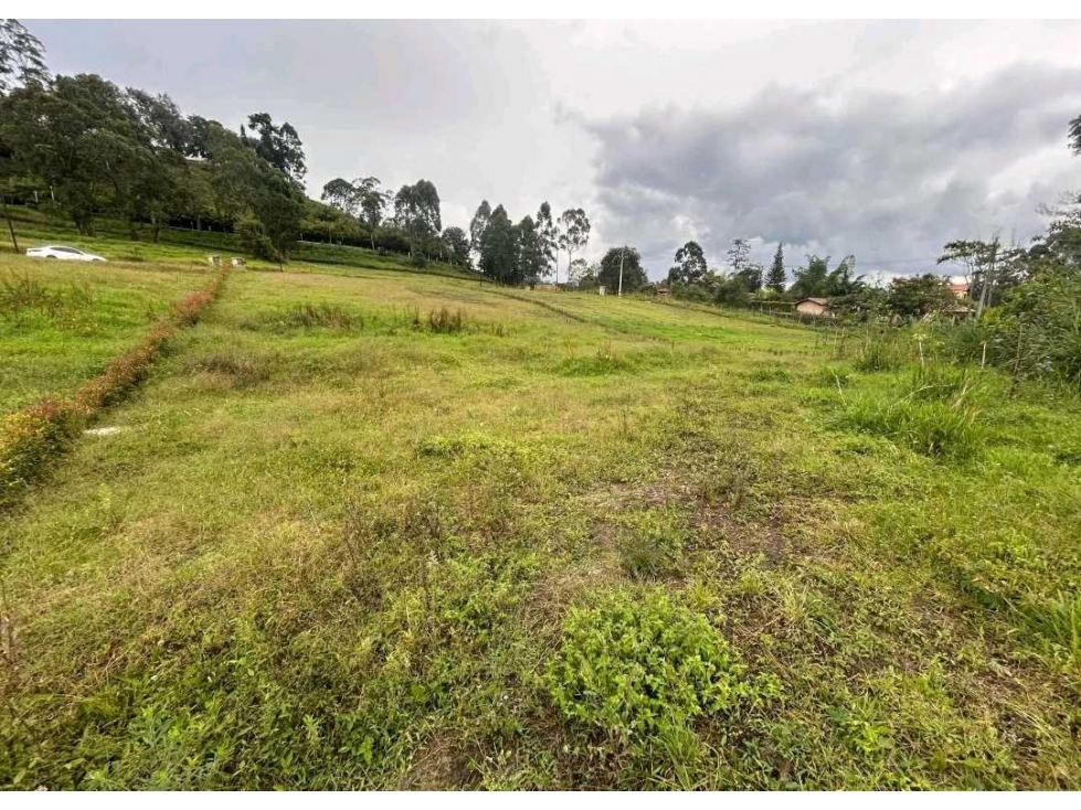 LOTE EN VENTA LA CEJA SECTOR EL TAMBO (T)