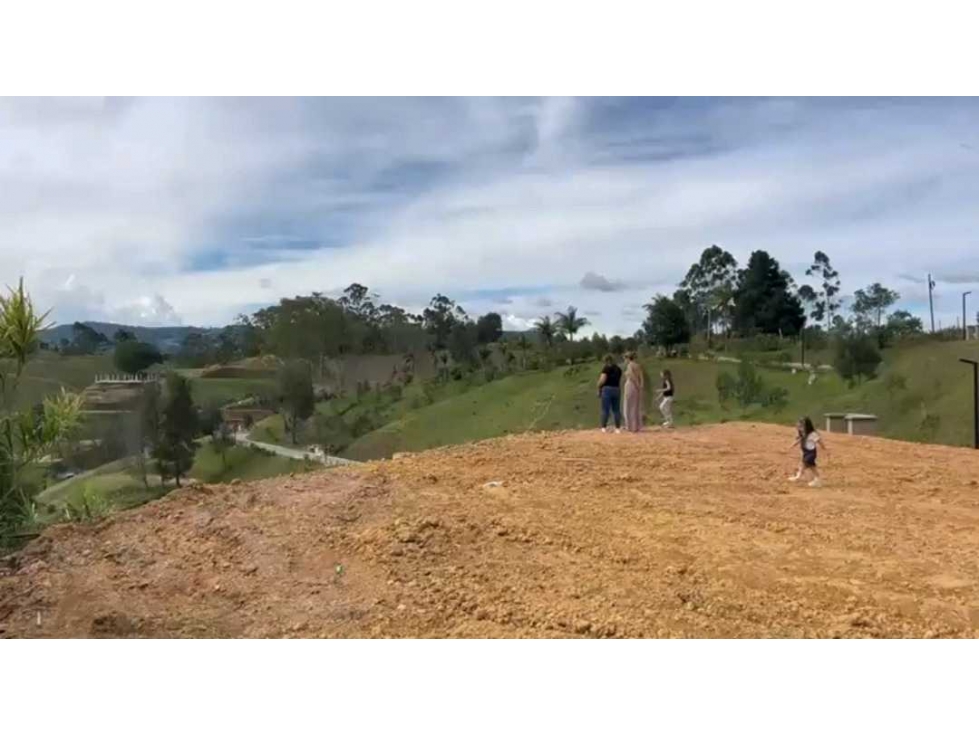 LOTE EN VENTA GUARNE SECTOR LA MOSQUITA (T)