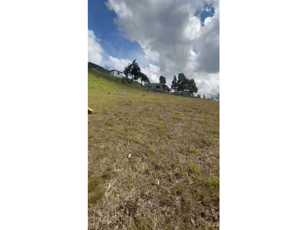 LOTE EN VENTA MEDELLIN VIA LAS PALMAS (T) — foto 4