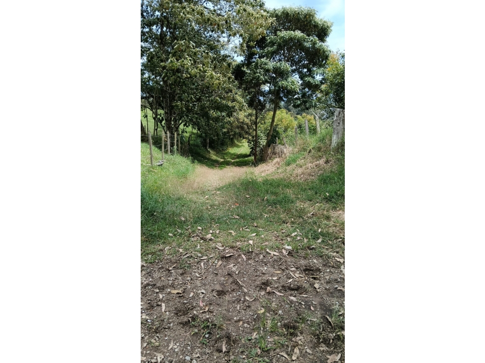 La Ceja Lote Campestre 20.000 m² Ideal Parcelación o Inversión — foto 2