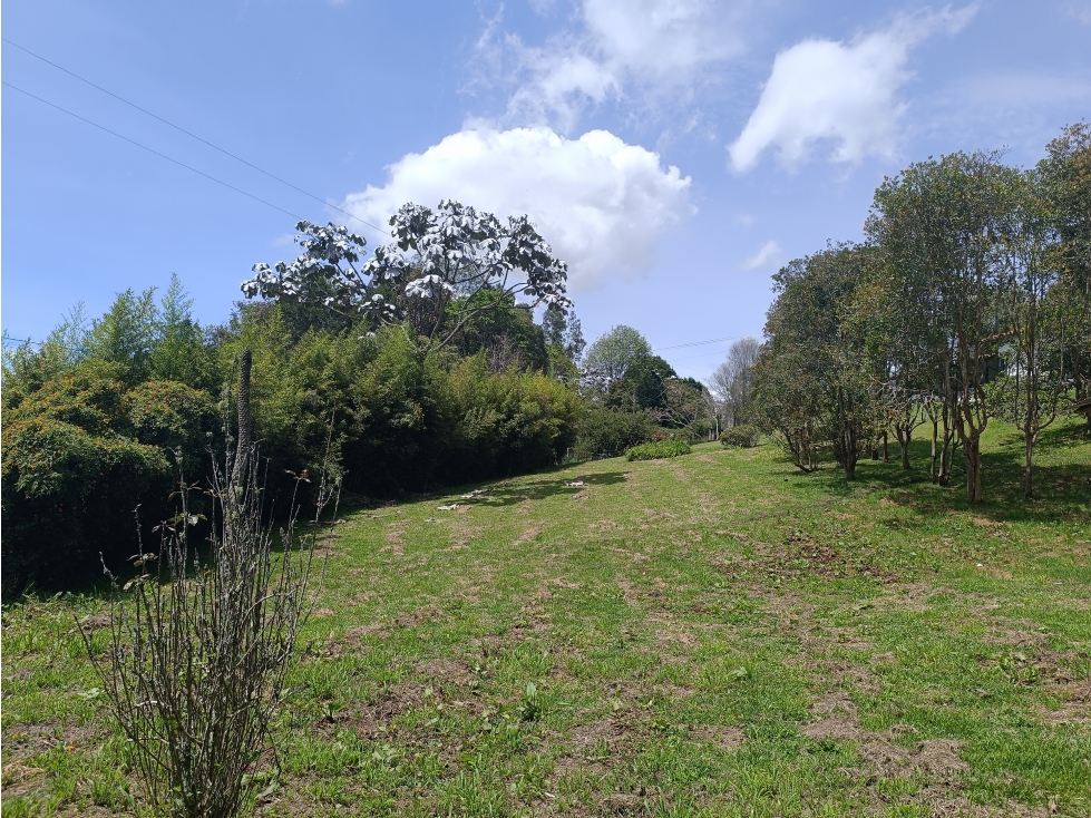 Hermoso Lote con casa muy acogedora a 2 klms del peaje de la variante — foto 3