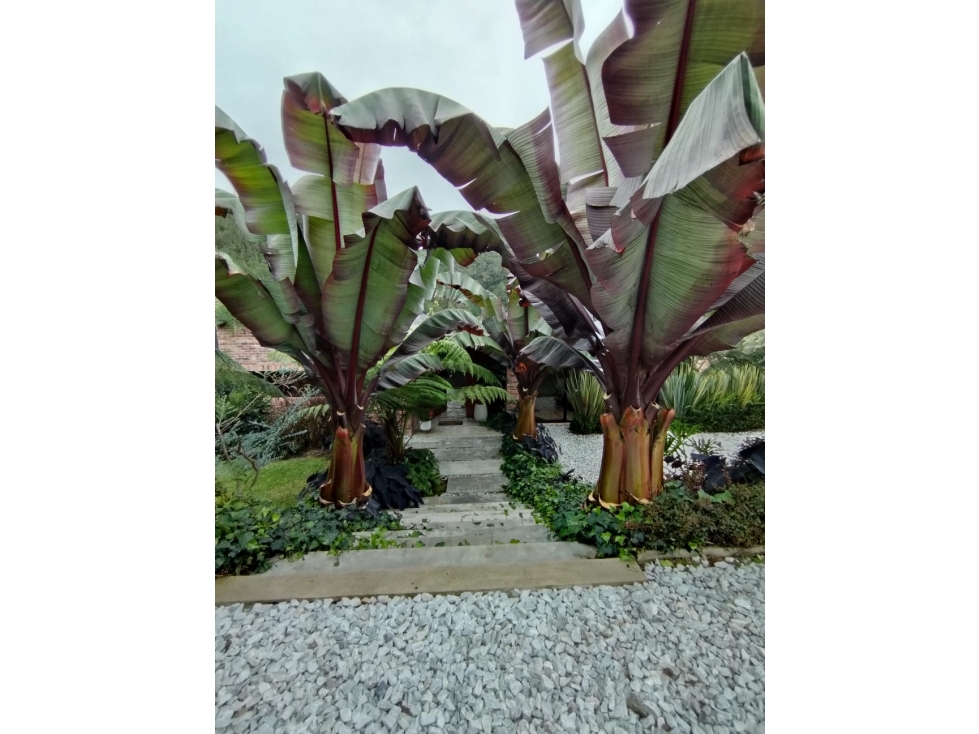 HERMOSA CASA CAMPESTRE EN UNIDAD CERRADA EN LA CEJA — foto 2