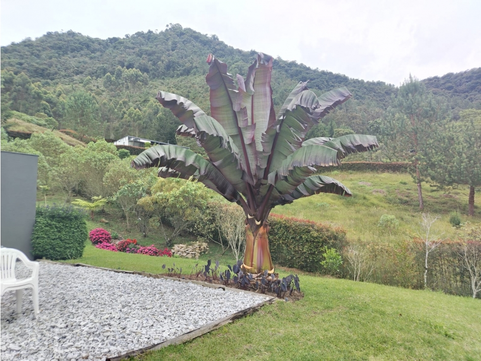 HERMOSA CASA CAMPESTRE EN UNIDAD CERRADA EN LA CEJA — foto 4