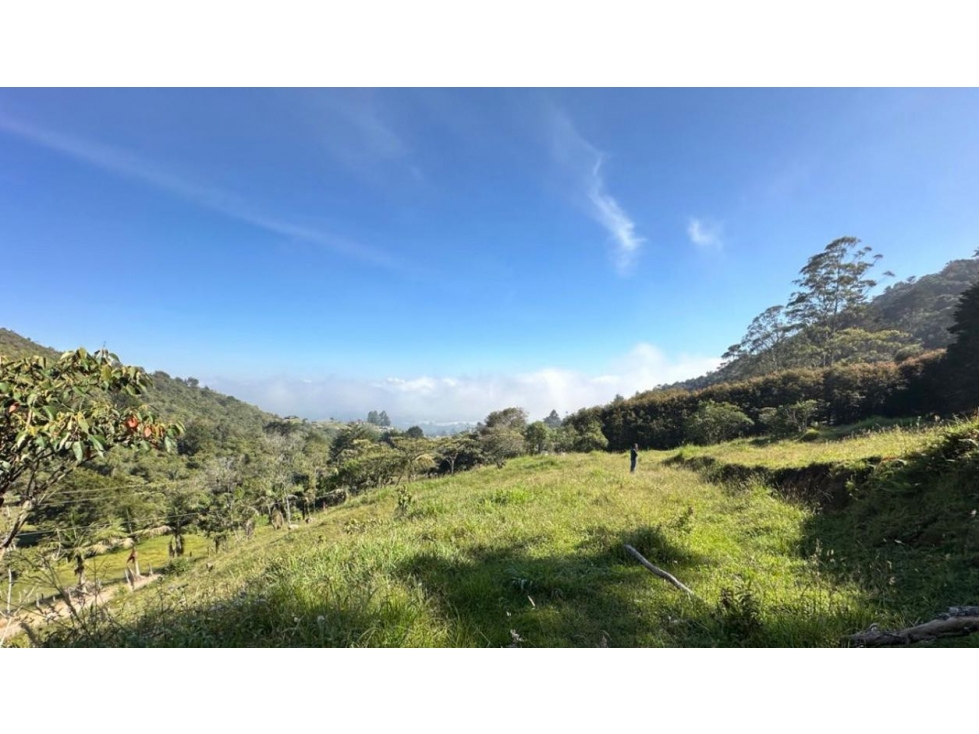 Vendo hermoso lote — foto 4