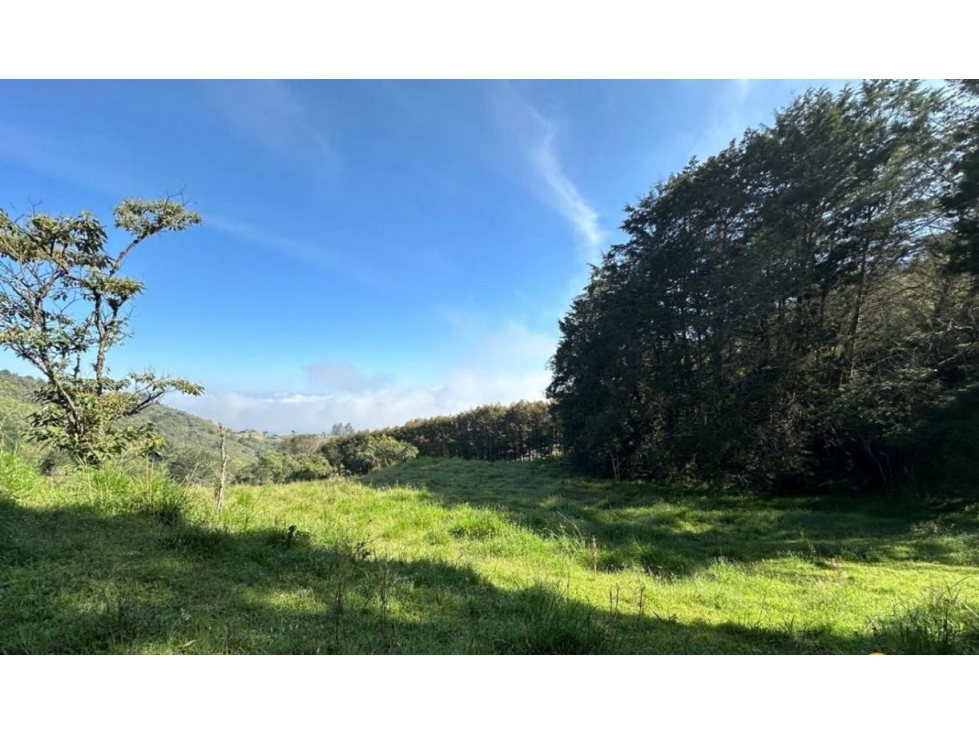 Vendo hermoso lote — foto 6