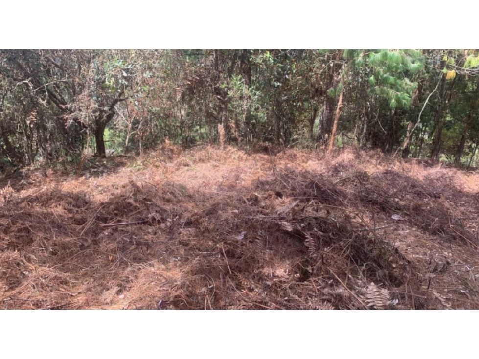 VENDO HERMOSO LOTE VEREDA LA CLARITA - GUARNE — foto 2