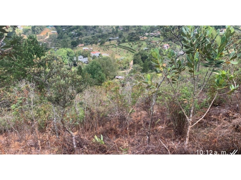VENDO HERMOSO LOTE VEREDA LA CLARITA - GUARNE — foto 3