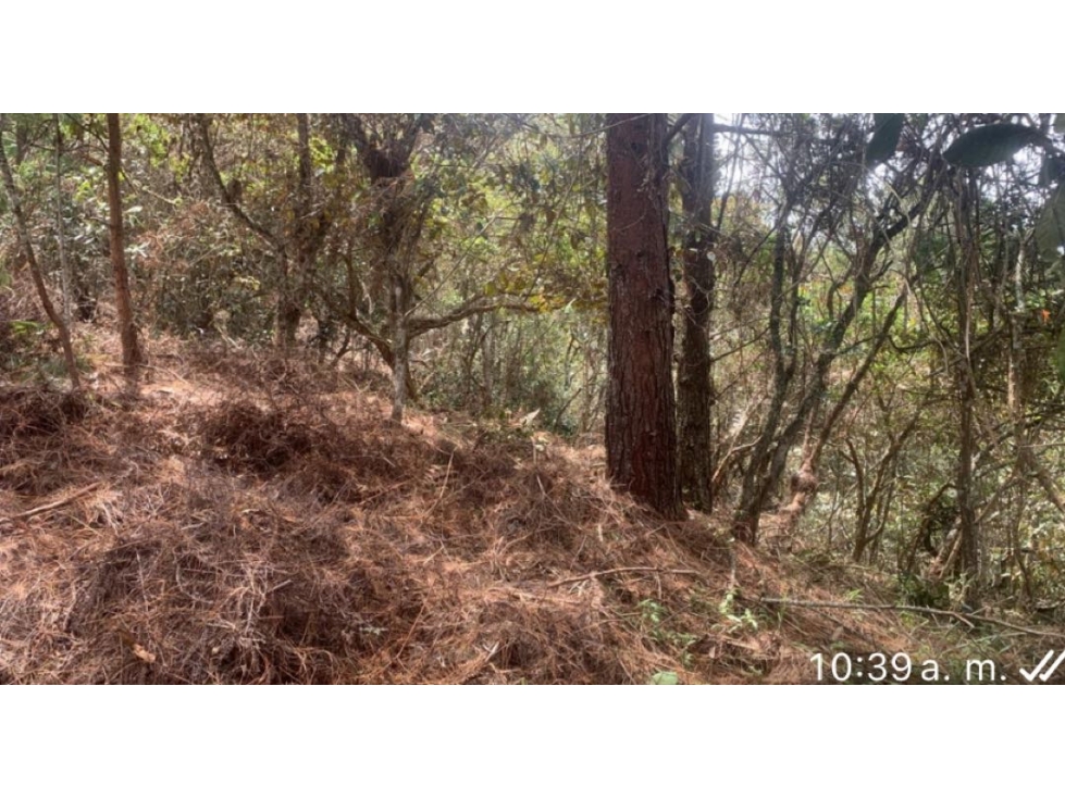 VENDO HERMOSO LOTE VEREDA LA CLARITA - GUARNE — foto 5
