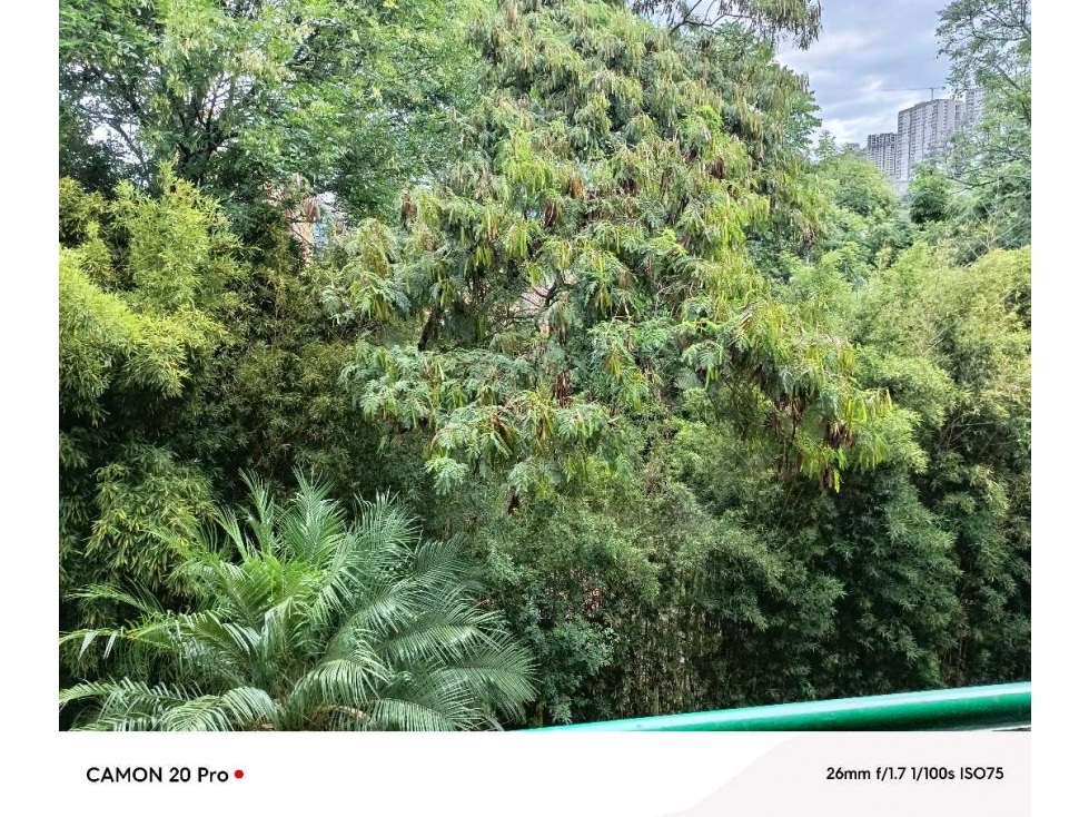 APARTAMENTO EN VENTA CALASANZ MEDIO (N) — foto 2