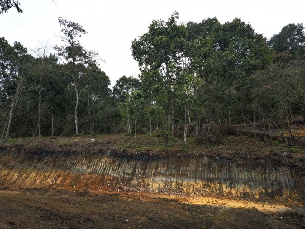 SE VENDEN LOTES EN GUARNE,SECTOR BATEA SECA A 3 KM DE LA AUTOPISTA — foto 2