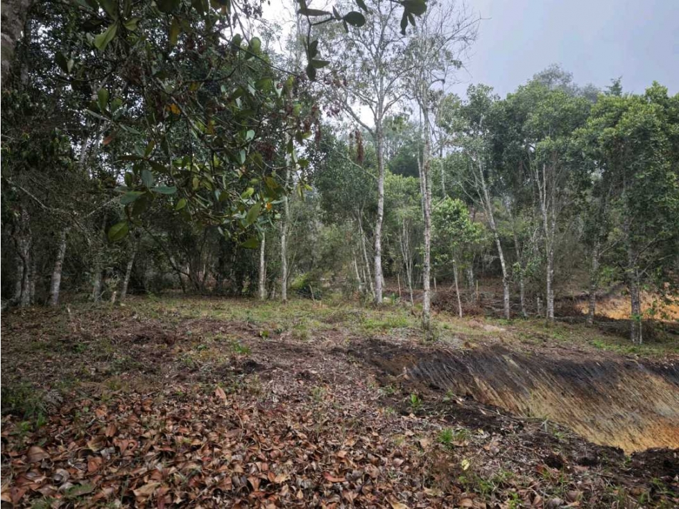 SE VENDEN LOTES EN GUARNE,SECTOR BATEA SECA A 3 KM DE LA AUTOPISTA — foto 5