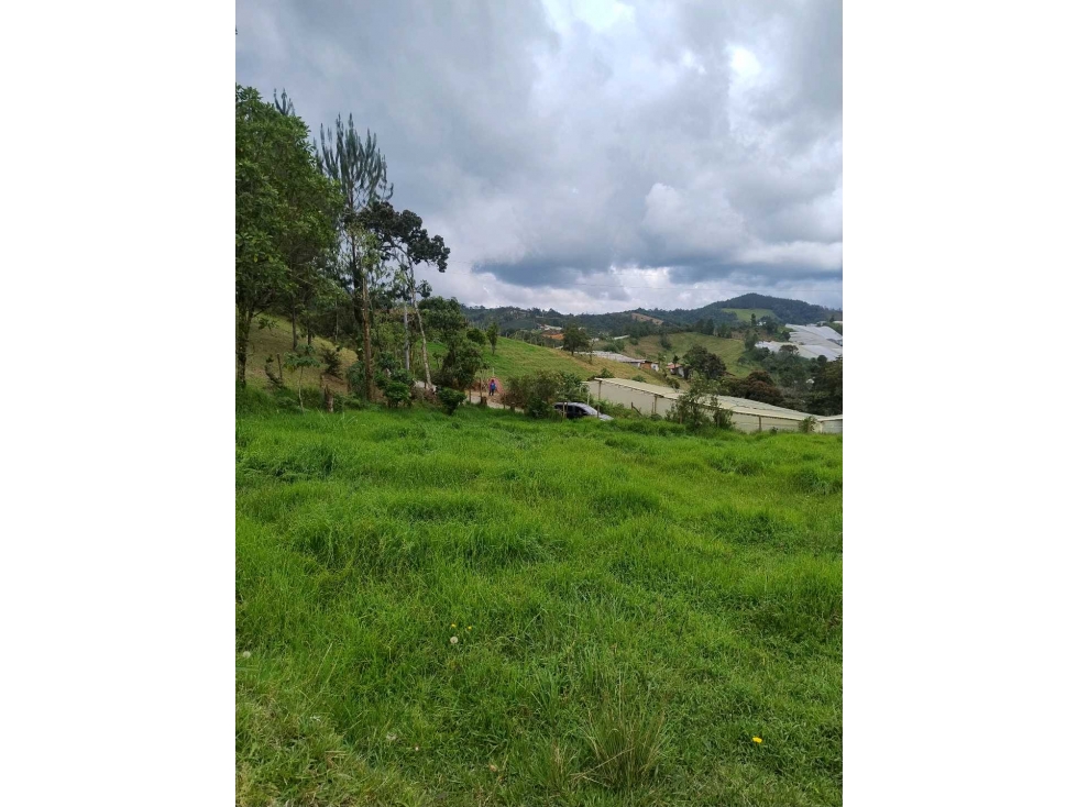 SE VENDE LOTE EN GUARNE,VEREDA GUAPANTE ARRIBA,A 15 MINUTOS DEL PUEBLO — foto 3