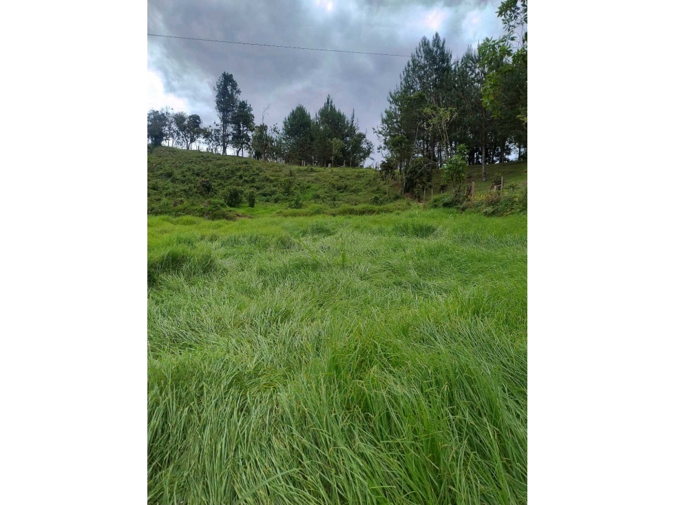 SE VENDE LOTE EN GUARNE,VEREDA GUAPANTE ARRIBA,A 15 MINUTOS DEL PUEBLO — foto 5