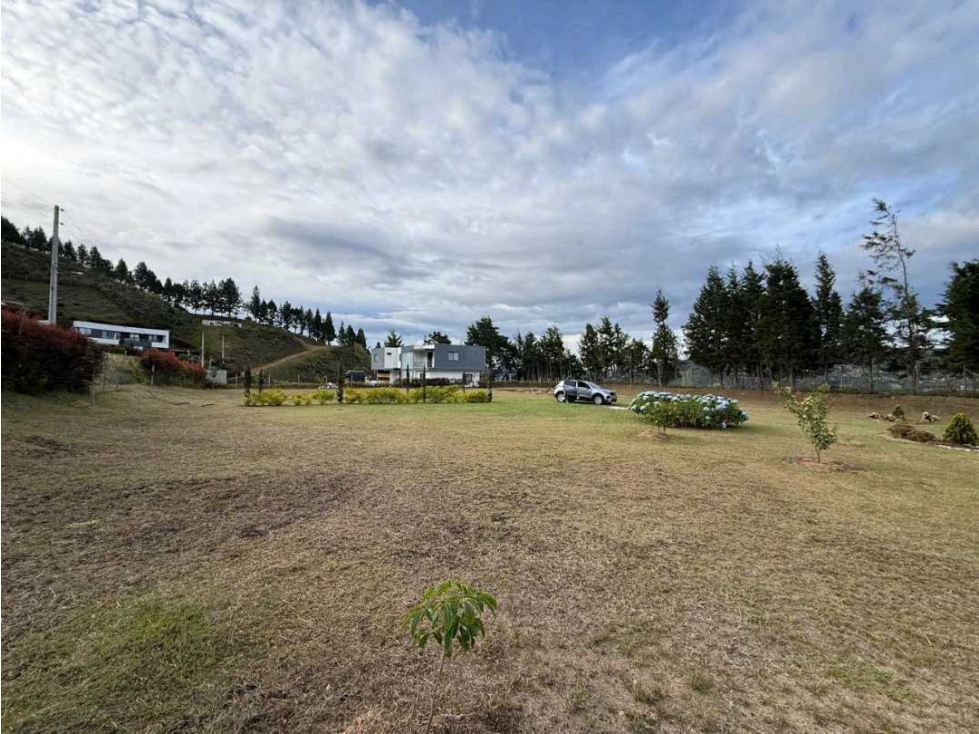 EXCELENTE LOTE EN VENTA GUARNE,ALTO DE LA VIRGEN,TOPOGRAFIA PLANA — foto 6