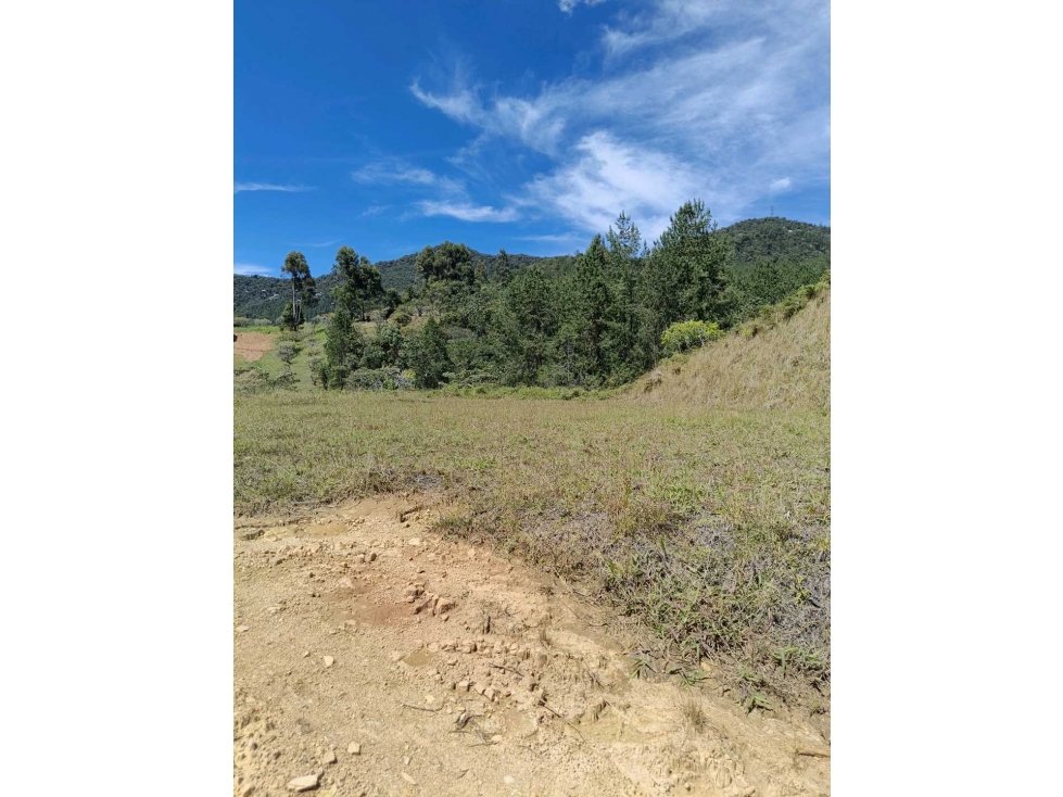 SE VENDE HERMOSO LOTE EN PARCELACIÓN EN LA CEJA — foto 3