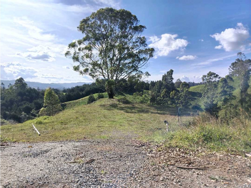 Venta de Lote en El Retiro Parcelación Cerrada