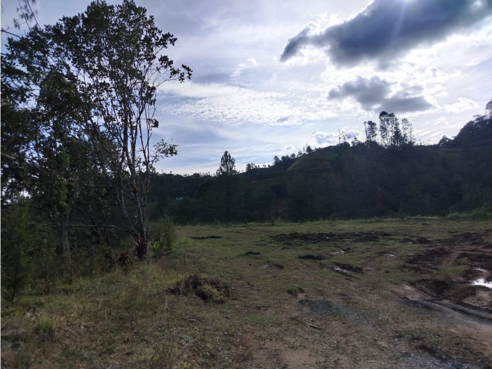 Lote campestre en senderos de San José en La Ceja — foto 5