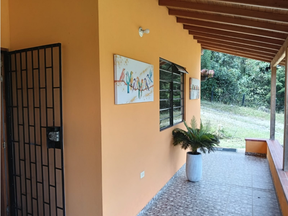 Vendo Casa Finca Santa Elena vereda Piedras Blancas — foto 4