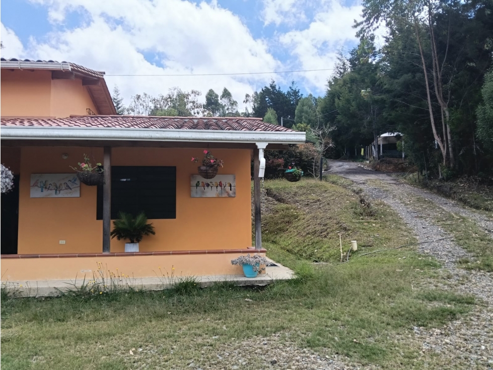 Vendo Casa Finca Santa Elena vereda Piedras Blancas — foto 6