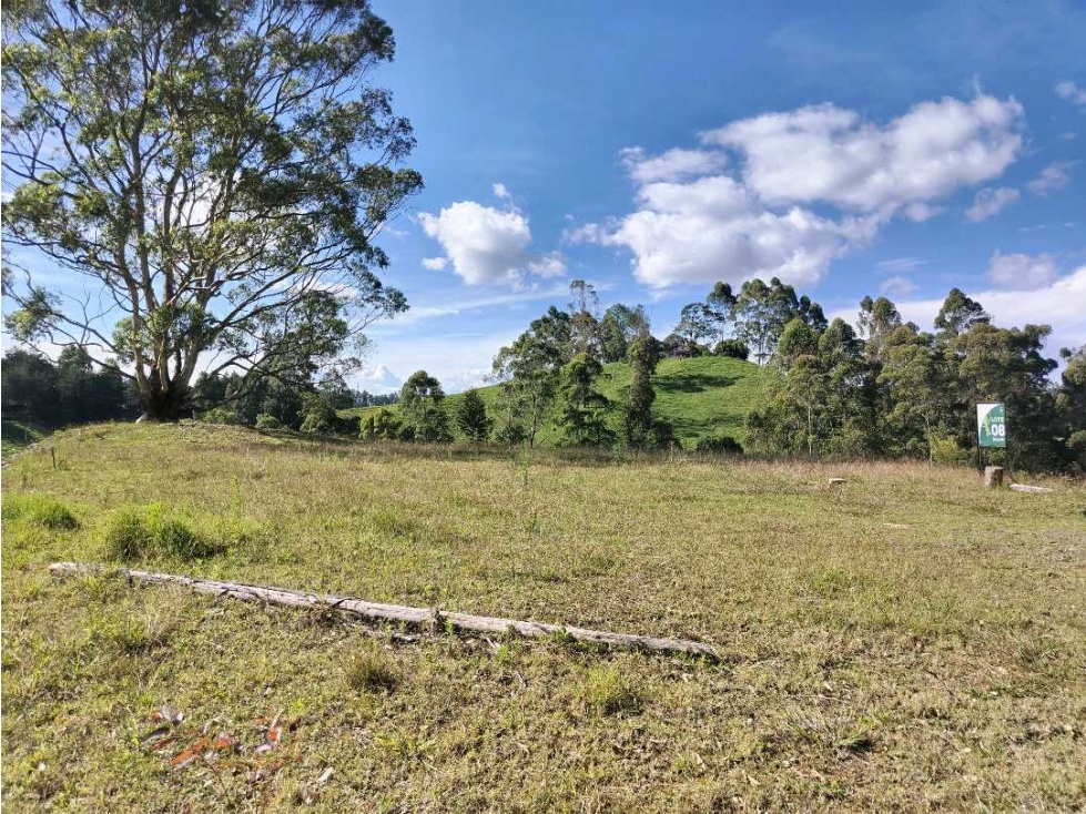 Venta de Lote en El Retiro Parcelación Cerrada — foto 2