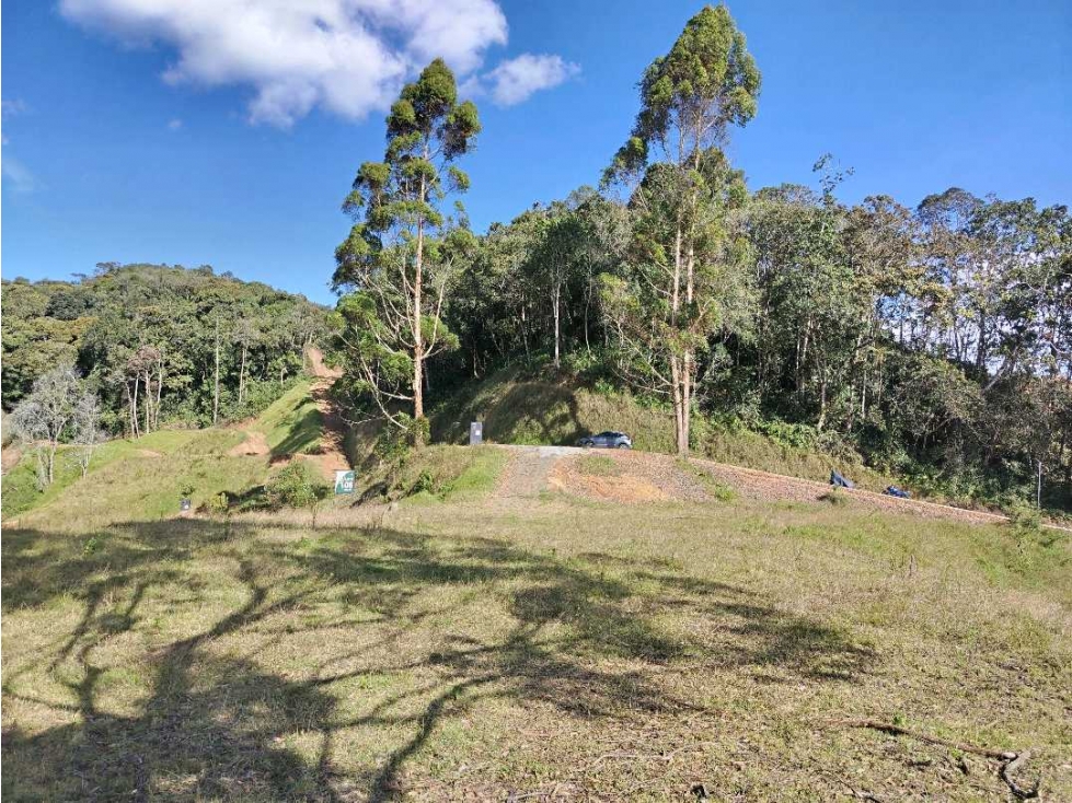 Venta de Lote en El Retiro Parcelación Cerrada — foto 4