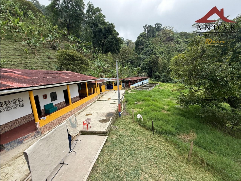 ¡Descubre esta joya! Finca en Vereda Ambala — foto 5