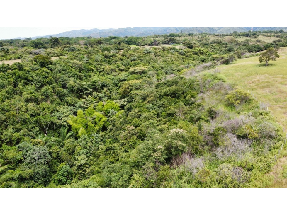 ¡Oportunidad Ãºnica! Finca ubicado en Vereda Mesa de Rio Recio - 4