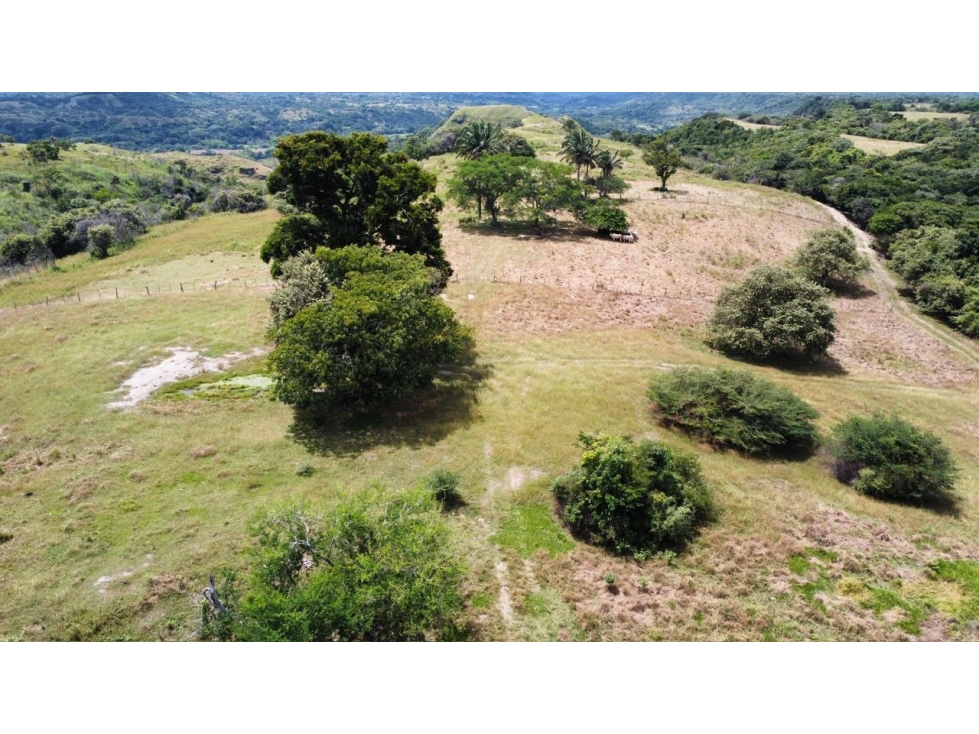 ¡Oportunidad Ãºnica! Finca ubicado en Vereda Mesa de Rio Recio - 5