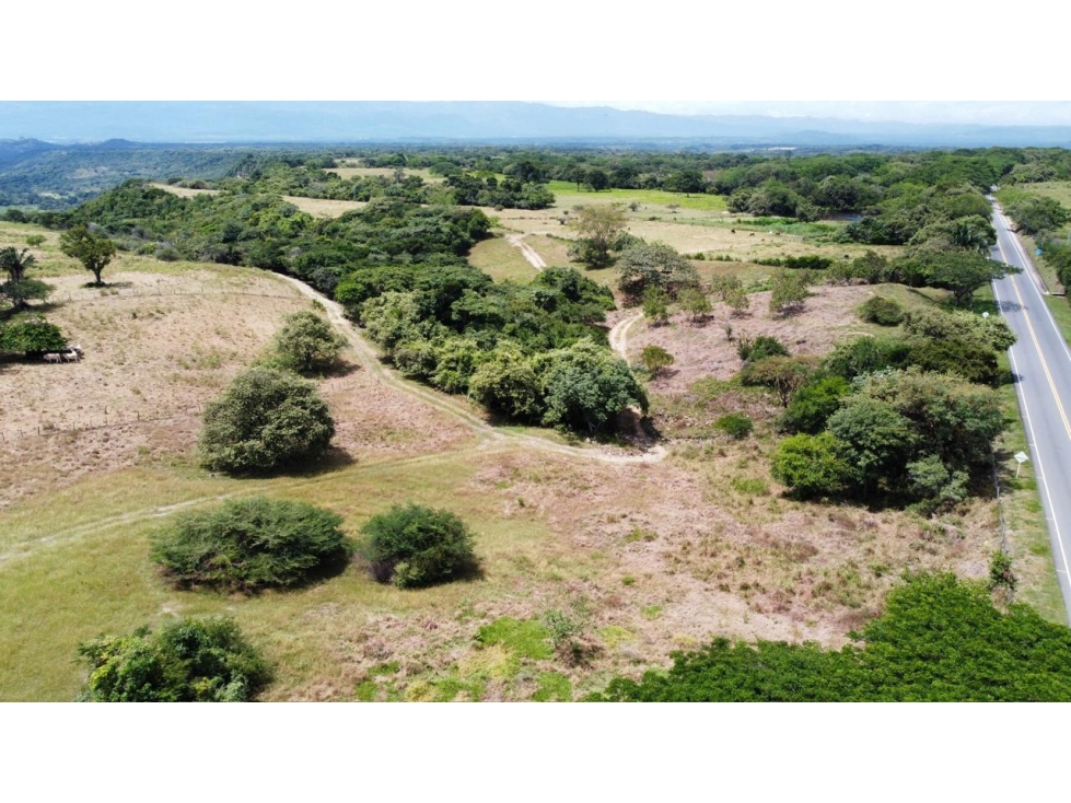 ¡Oportunidad Ãºnica! Finca ubicado en Vereda Mesa de Rio Recio - 6