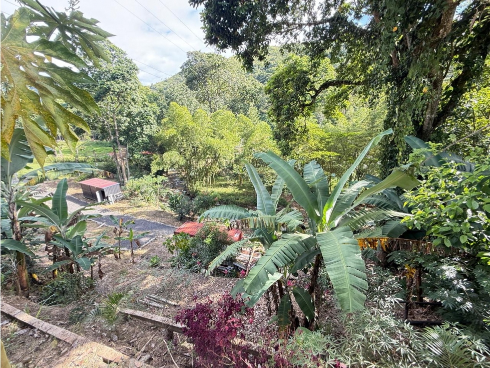 ¡Excelente oportunidad! Lote / Terreno disponible en Via al totumo — foto 2