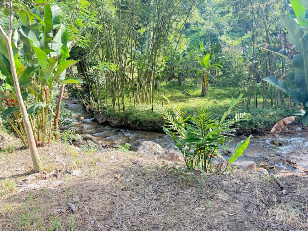 ¡Excelente oportunidad! Lote / Terreno disponible en Via al totumo — foto 6