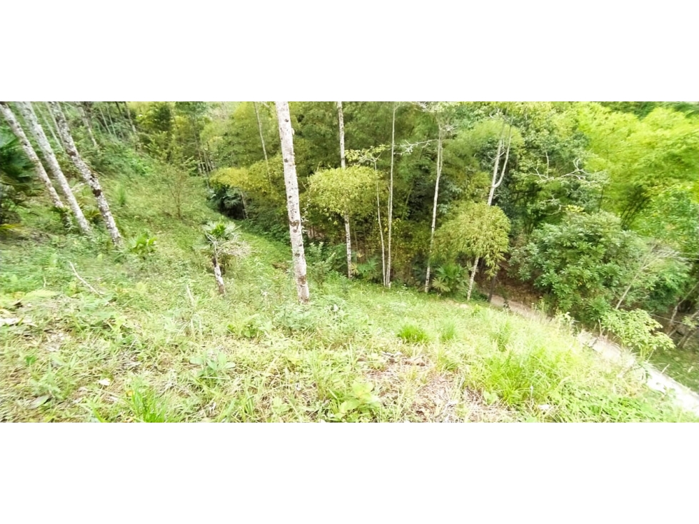 ¡Disponible ahora! Lote / Terreno ubicado en Calambeo — foto 2