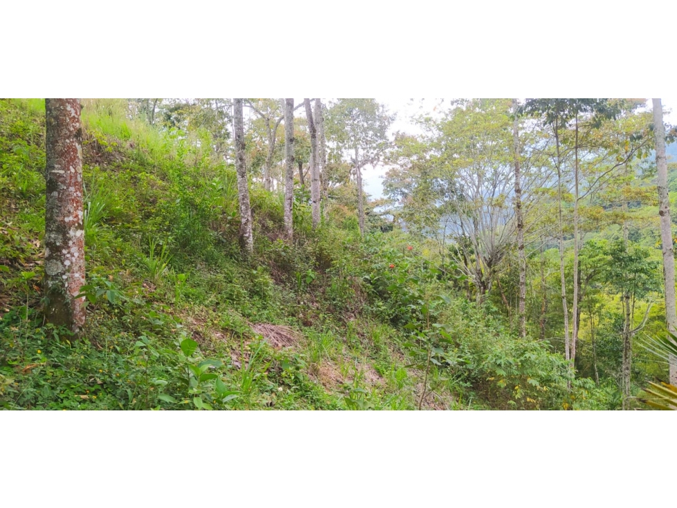 ¡Disponible ahora! Lote / Terreno ubicado en Calambeo — foto 3