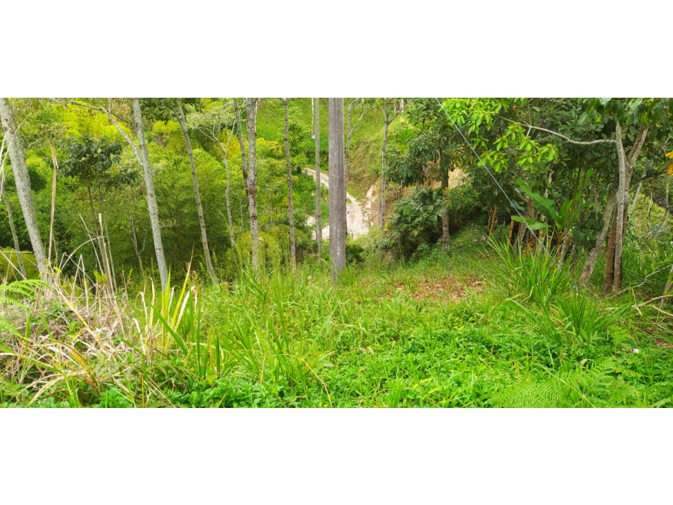 ¡Disponible ahora! Lote / Terreno ubicado en Calambeo — foto 4