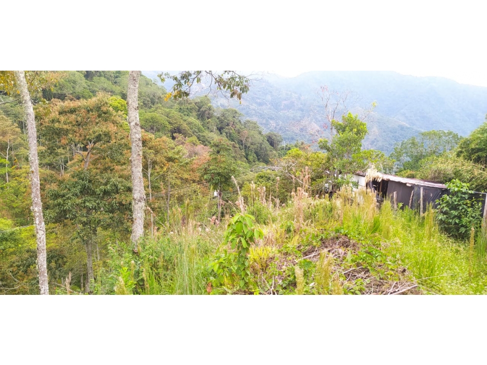 ¡Disponible ahora! Lote / Terreno ubicado en Calambeo — foto 5