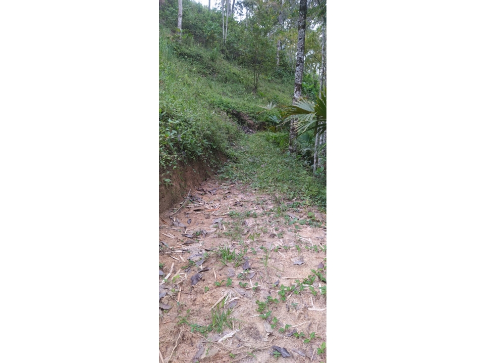 ¡Disponible ahora! Lote / Terreno ubicado en Calambeo — foto 6