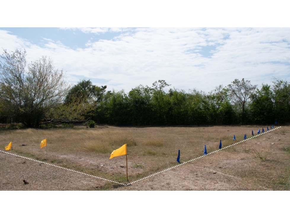 ¡Gran oportunidad de inversiÃ³n! Lote en La Palmita — foto 5
