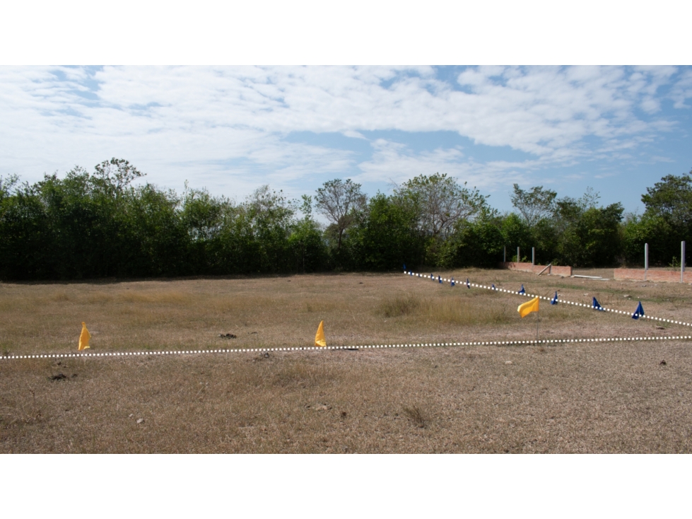 ¡Gran oportunidad de inversiÃ³n! Lote en La Palmita — foto 6