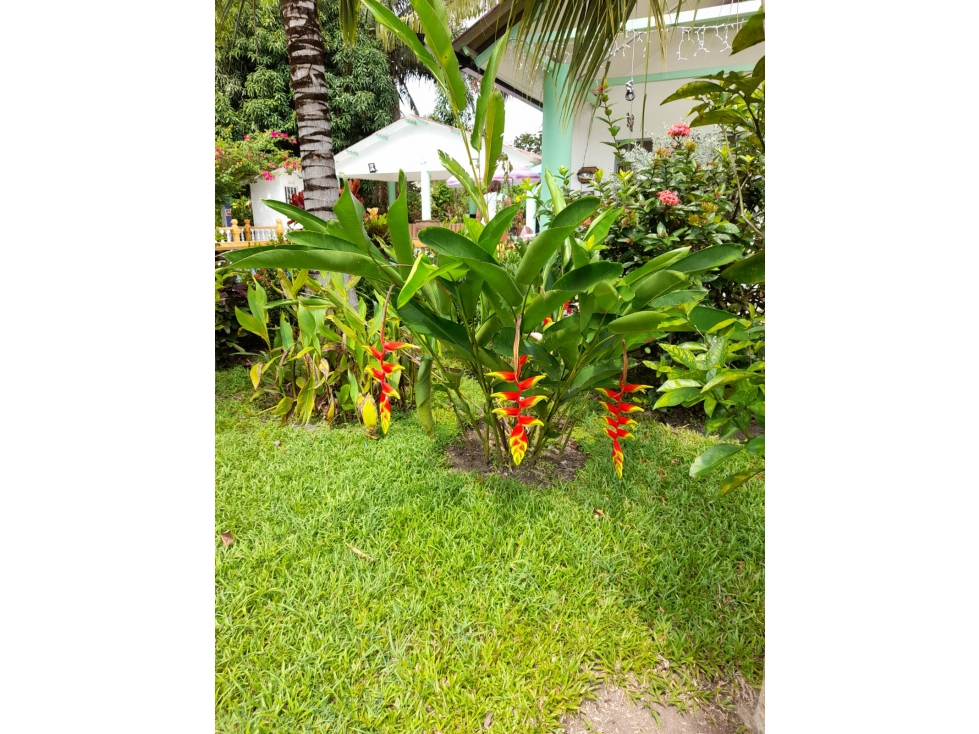 ¡InversiÃ³n imperdible! Casa disponible en Villa Brenda — foto 5