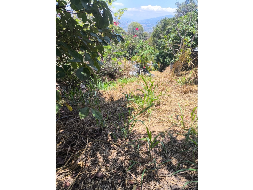 ¡Disponible ahora! Lote en Floridablanca — foto 4