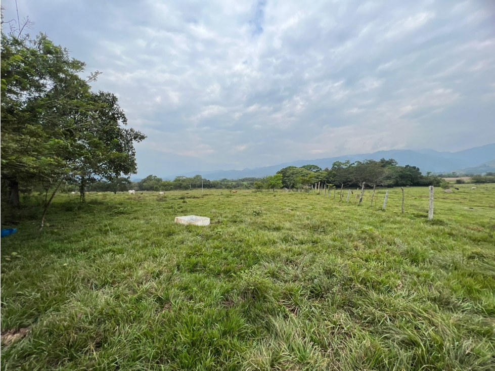 ¡Invierte ya! Terreno disponible en el Totumo — foto 4
