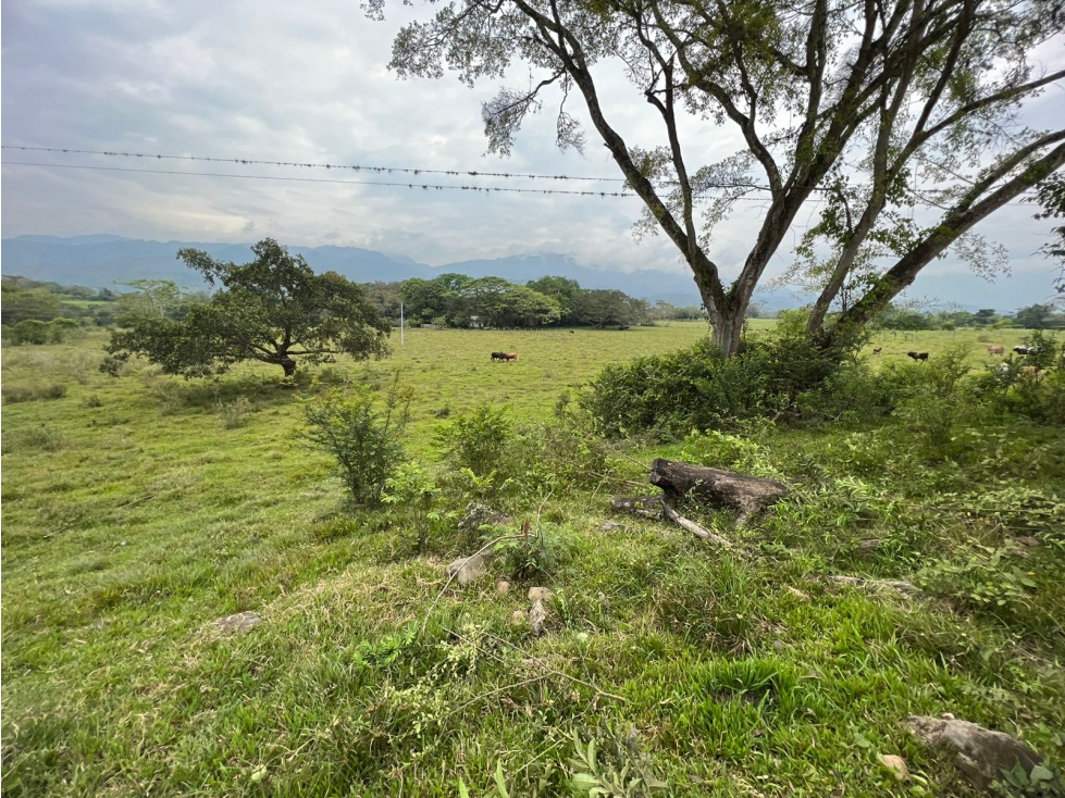 ¡Invierte ya! Terreno disponible en el Totumo — foto 5