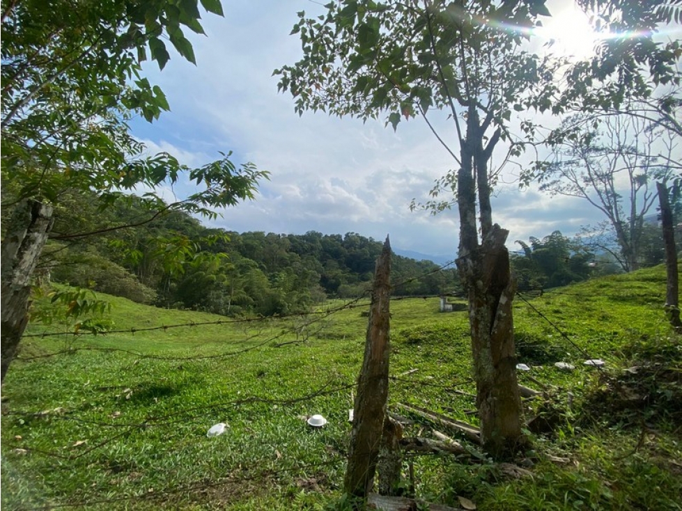 ¡Disponible ahora! Lote / Terreno ubicado en Calambeo — foto 2