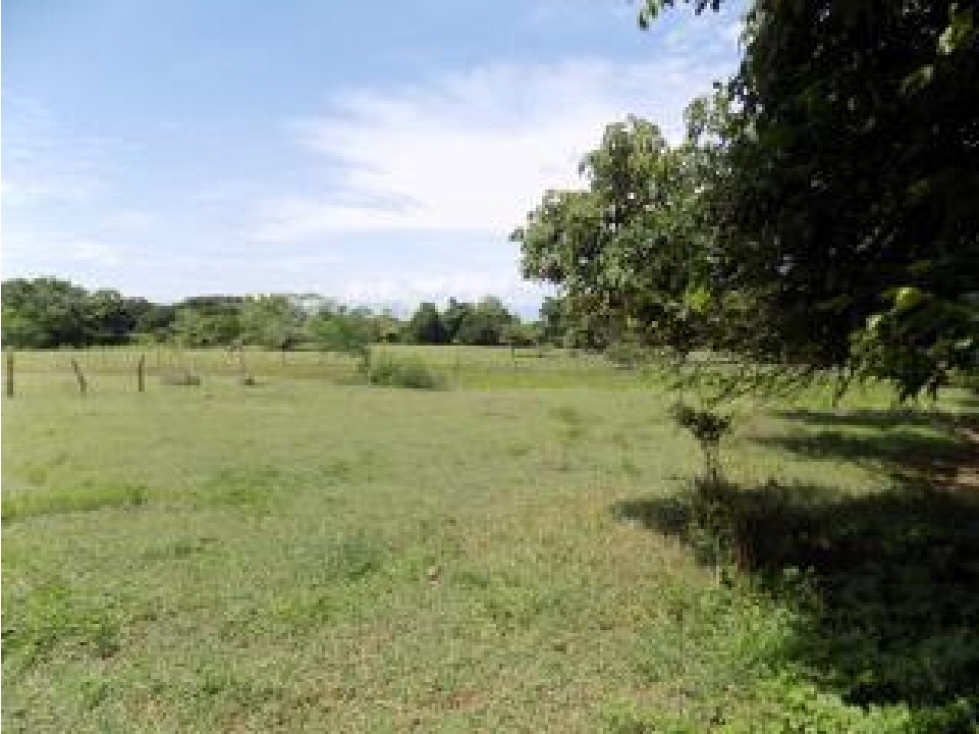 ¡Disponible ahora! Lote / Terreno en Ospina Perez — foto 3
